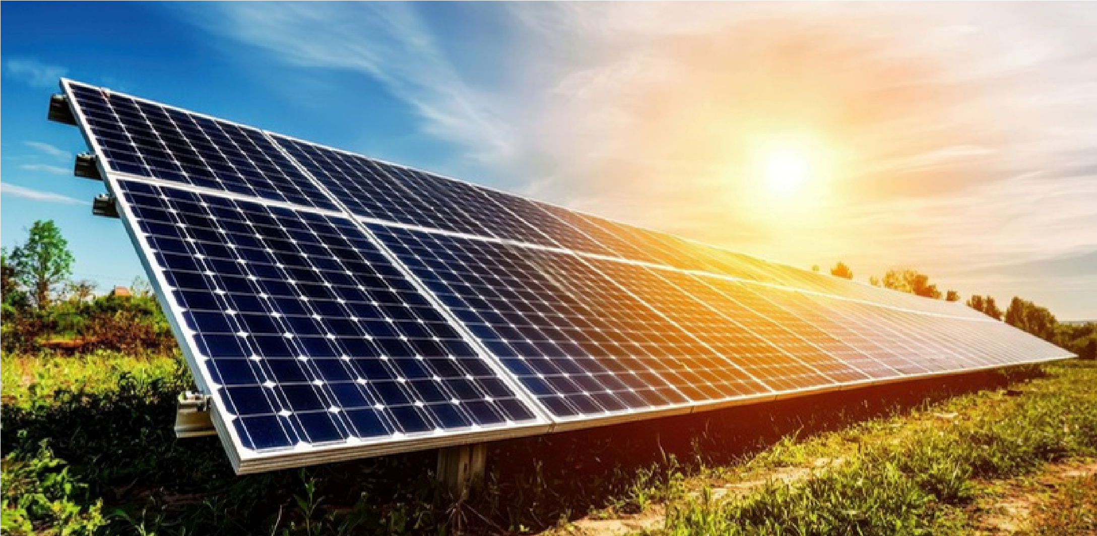Agricultural Solar Project